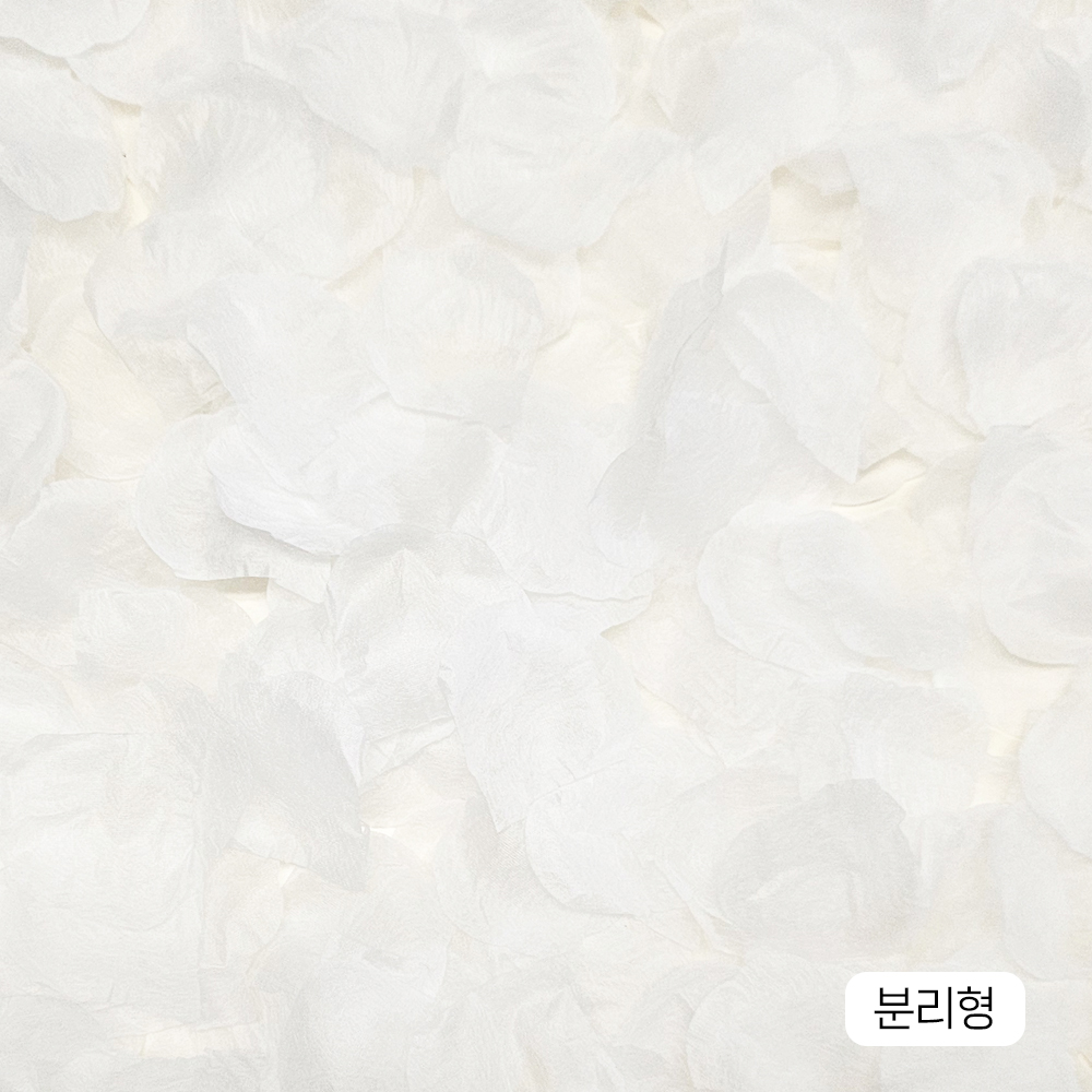 장미꽃잎가루 화이트 1000p 플라워샤워 셀프웨딩 바로사용가능
