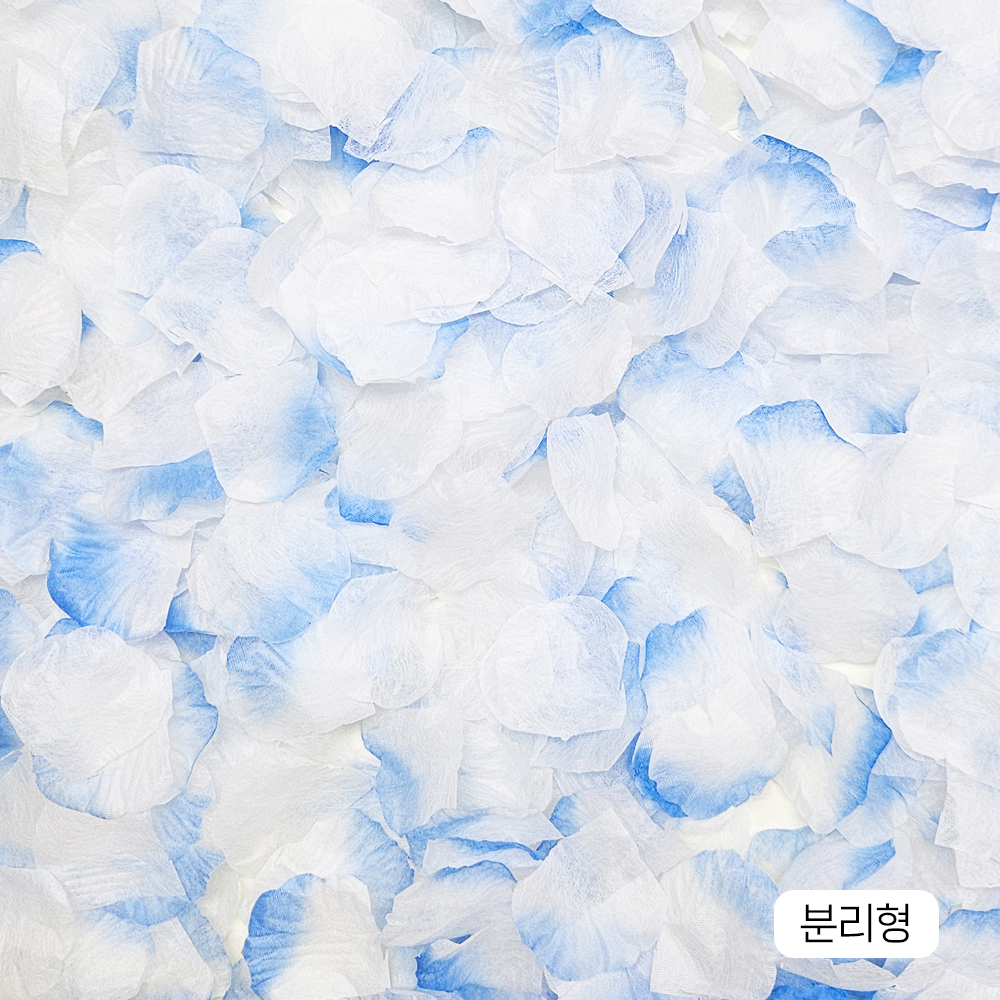 장미꽃잎가루 블루그라데이션 화이트 혼합 1000p 플라워샤워 셀프웨딩 하이숲 CF05