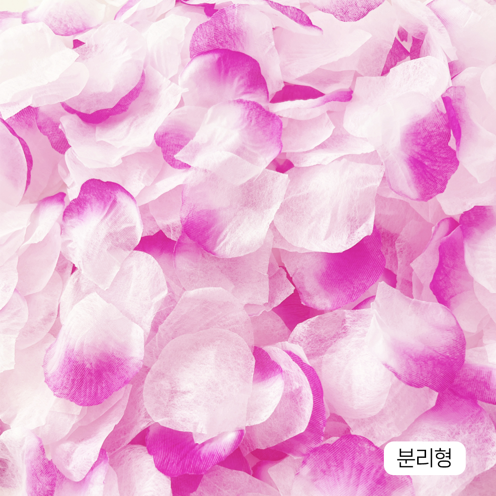 장미꽃잎가루 퍼플그라데이션 핑크 혼합 1000p 플라워샤워 셀프웨딩 하이숲 바로사용가능